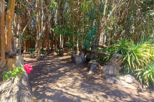 Vendo Conjunto De Cabañas En Valle De Elqui
