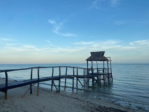Imagen 2 de 14 de Lotes De Terreno De Inversión En Yucatán Cerca De La Playa