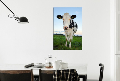 Cuadro 30x45cm Vaca Animales Campo Pasto Funny M4