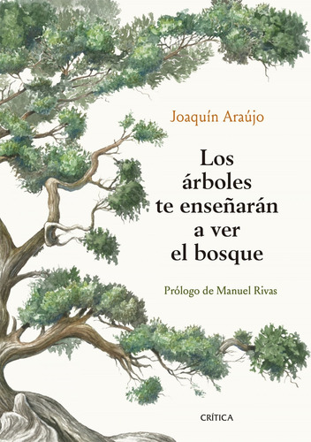 Libro Los Árboles Te Enseñarán A Ver El Bosque - Araujo P