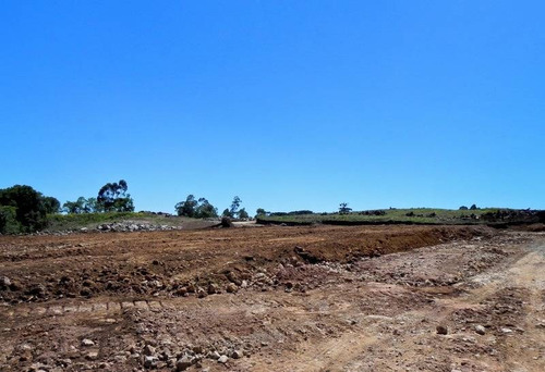 Imagem 6 de 7 de Terreno - Industrial - Ref: 7636 - V-7636