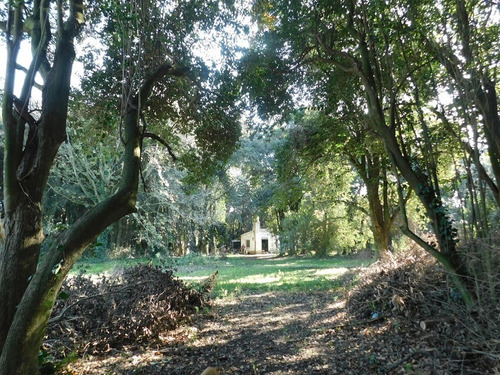 Lotes De Terreno En Venta En Chascomus, Calle Bahia Blanca.