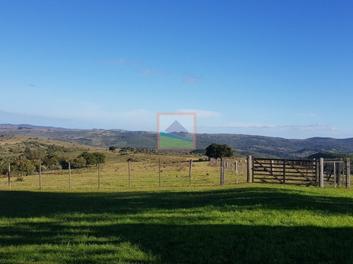 Imagen 6 de 14 de Campo En Carapé Maldonado, 267 Hás Con Casa