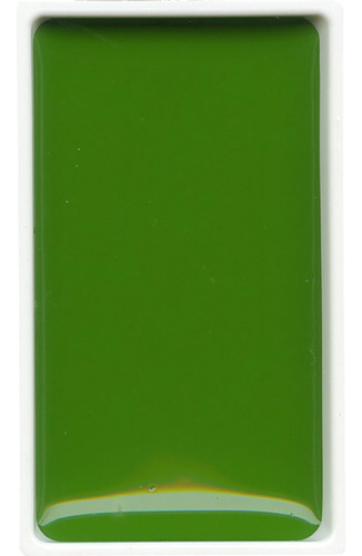 Acuarela Kuretake Gansai Tambi Pastilla X Unidad Color 53 Sap Green