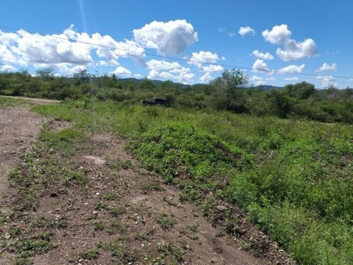 Imagen 6 de 10 de Vendo Fracción Para Loteo En Mirador Del Lago