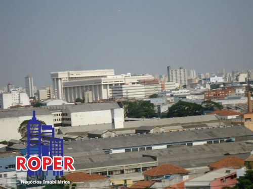 Imagem 8 de 20 de Lindo Apartamento De 65 M²/2 Dormitórios/1 Vaga À Venda No Pari, São Paulo. - Ap01040 - 69266246