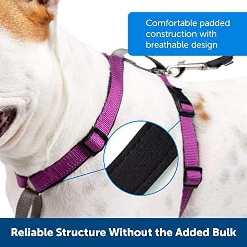Petsafe 3 En 1 Arnés Para Perros Sin Tirones - Caminar, Entr