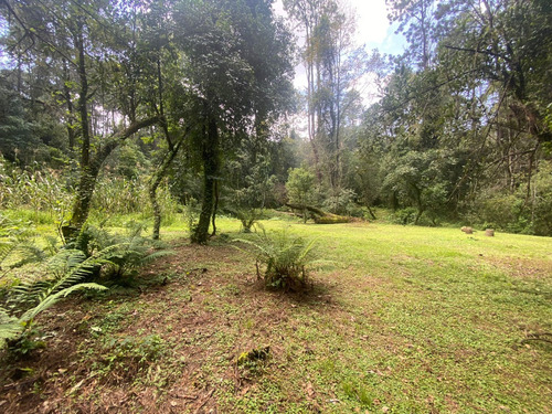 Terreno En Venta Circuito Avándaro