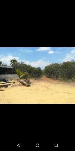 Imagen 8 de 8 de Finca De 10 Hectáreas En Miranda