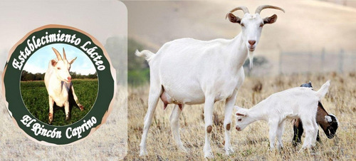 Leche De Cabra Larga Vida El Rincón Caprino ×10 Litros