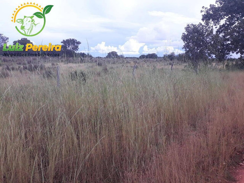 Imagem 9 de 15 de Fazenda À Venda Em Divinópolis - T0 - 1.287,44 Hec (dupla Aptidão) - 1767