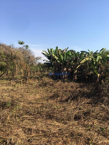 Imagem 4 de 6 de Terreno À Venda, 3000 M² Por R$ 325.000,00 - Indusville - Londrina/pr - Te0489