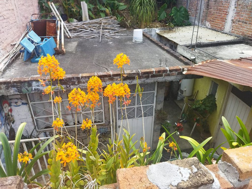 Casa En Venta En Ejidal Ocolusen