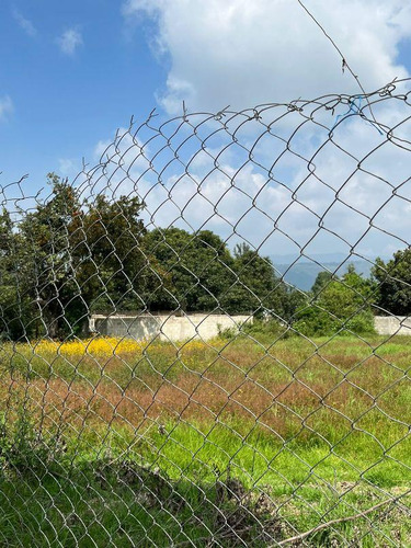 Terreno En Venta En Colonia San Carlos, Metepec, Estado De México