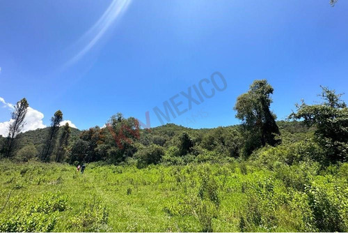 Venta De Terreno Para Para Desarrollar En Tecomatlan, Edomex. Por La Carretera Principal A Malin...