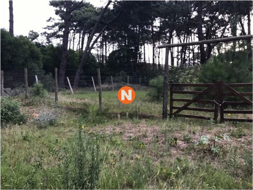 Imagen 2 de 3 de Oportunidad De Venta-rincon Del Indio - Punta Del Este Rincón Del Indio