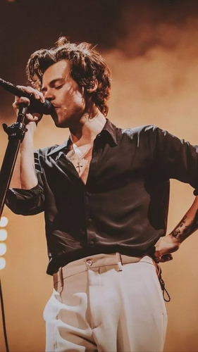 Frazada Cobija Polar Delgada Viajera Harry Styles