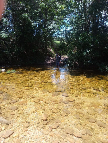 Imagem 7 de 15 de Área Rural Serra Da Canastra