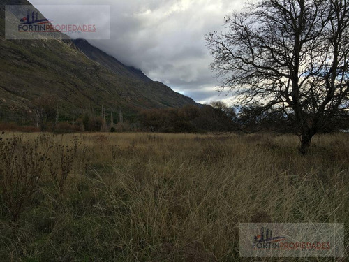 Imagen 3 de 6 de Campo - Trelew