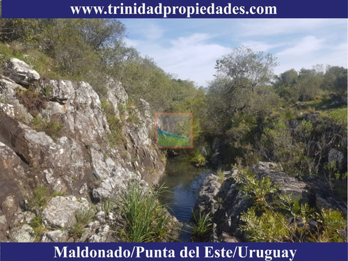 Imagen 4 de 10 de 86has Campo Turístico En Los Caracoles