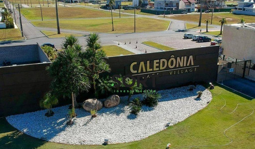 Imagem 11 de 22 de Terreno No Condomínio Caledônia - Te0087