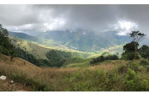 Se Vende Finca Naranjal - Roldanillo