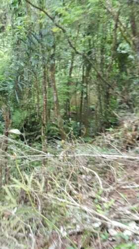 Imagem 4 de 8 de 10700 M2 - Embu Guaçu - Só Terreno