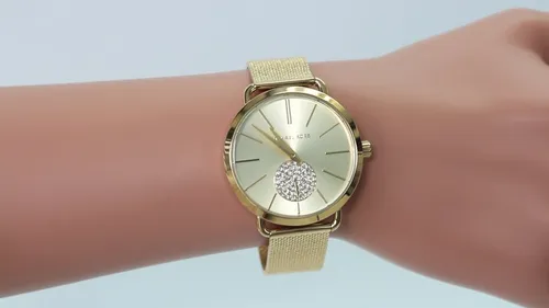 Michael kors mk3844 sale