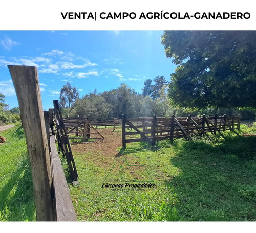 Oportunidad Campo 52 Ha En Freire Con Gran Proyeccion
