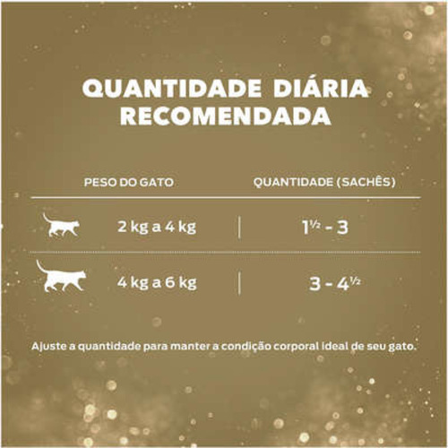 Kit 15 Fancy Feast Sachê Petit Filets Com Salmão 85g