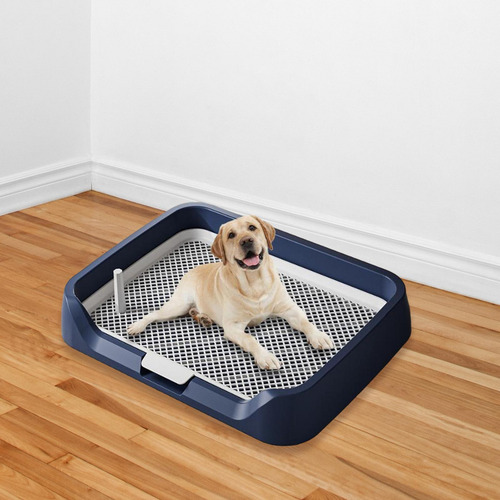 Orinal Para Perros De Interior, Almohadillas De Tren, Azul