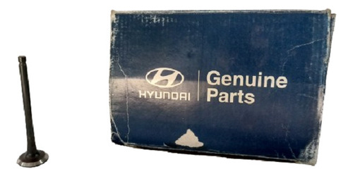 Valvula Escape De Hyundai Getz / Elantra 1.6 Original Rp