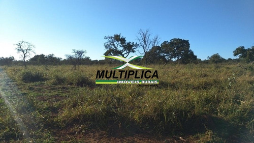 Chácara Em Uberlândia Escritura Individual 20.000 M² Apenas 20 Km Da Cidade - 399