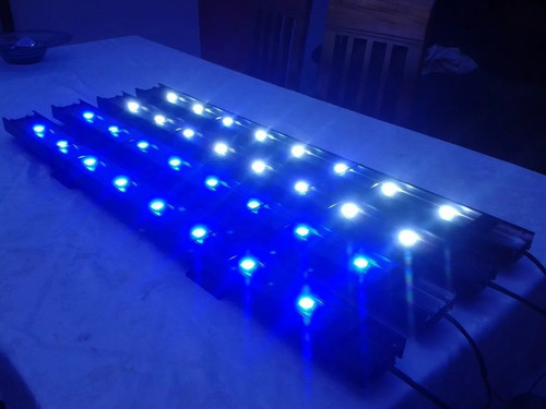 4 Led 10w Alta Potencia Acuario Royal Blue 450 455 Nm