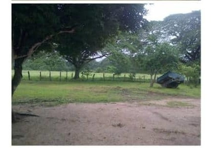 Imagen 11 de 13 de Hato En Calabozo, Edo. Guárico