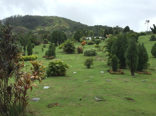 Jazigo Perpétuo Cemitério E Crematório Parque Da Colina Niterói Rj