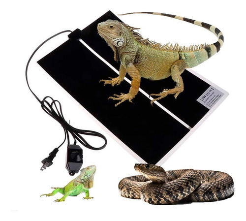 Placa Térmica Con Regulador 20w 220v Para Reptiles Exóticos
