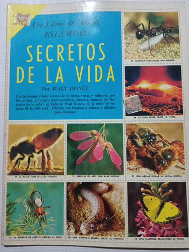 Un Libro De Oro De Estampas Secretos De La Vida Sin Pegar