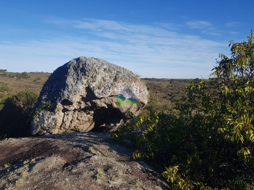 Imagen 5 de 14 de Chacra 10 Hás En Garzón