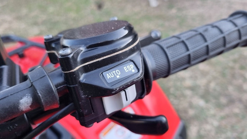 Imagen 14 de 19 de Honda Trx 420 4x4 Trx 420