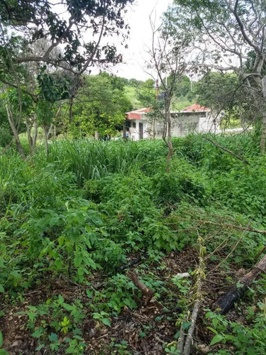 Imagen 3 de 14 de Terreno En Residencial San Lorenzo En Primera Fila