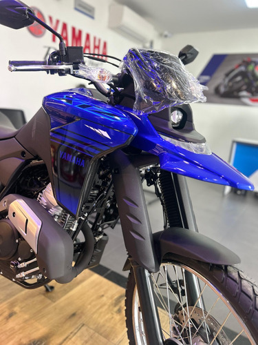 Lander 250 Abs 2025 Pronta Entrega (vend Erick)