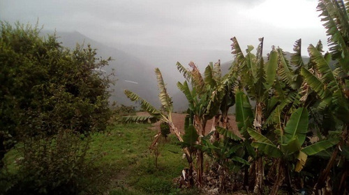 Imagen 12 de 21 de Se Vende Finca 20.748 M2 El Jarillo