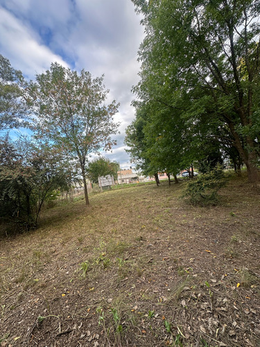 Terreno - Villa Parque Sicardi