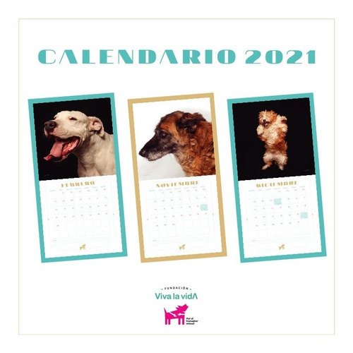 ¡promo! Calendario 2021 De Fundación Viva La Vida X 2