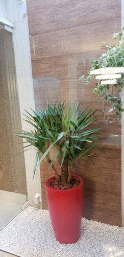 Imagem 23 de 30 de Mansão Triplex Cinematográfca, Em Camboinhas!! - Ca0596