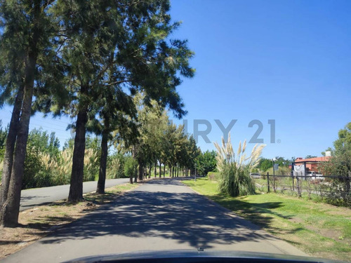 Venta Lote Barrio Los Arces Cañada De Pilar