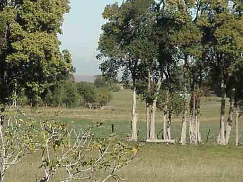 Campos O Chacras Venta Colonia Del Sacramento
