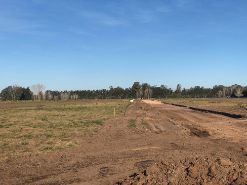 Loteo La Eugenia By Moradas Venta De Lotes Con Amplia Financiacion En Ezeiza