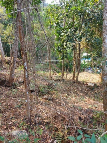 Imagem 6 de 8 de Terreno - Itaipava - Ref: 4958 - V-4958